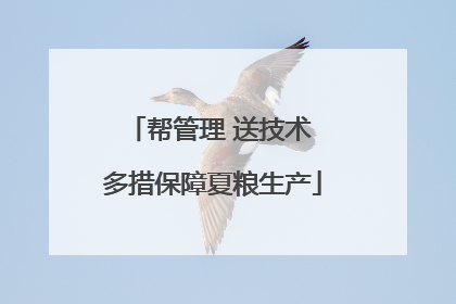 帮管理 送技术 多措保障夏粮生产