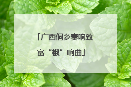 广西侗乡奏响致富“椒”响曲