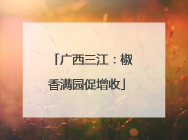 广西三江：椒香满园促增收