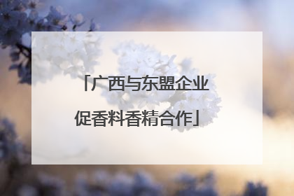 广西与东盟企业促香料香精合作