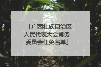 广西壮族自治区人民代表大会常务委员会任免名单