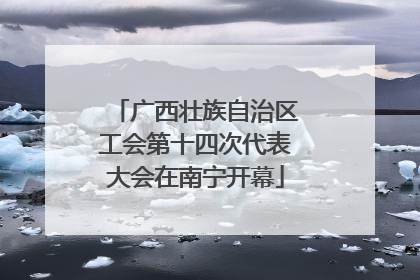 广西壮族自治区工会第十四次代表大会在南宁开幕