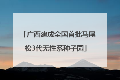 广西建成全国首批马尾松3代无性系种子园