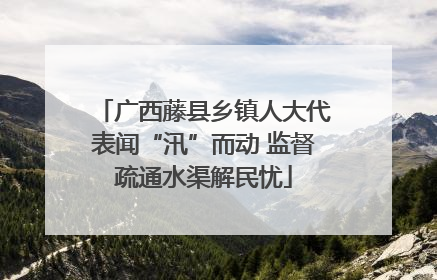 广西藤县乡镇人大代表闻“汛”而动 监督疏通水渠解民忧