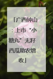 广西钟山：上市“小糖丸”无籽西瓜助农增收