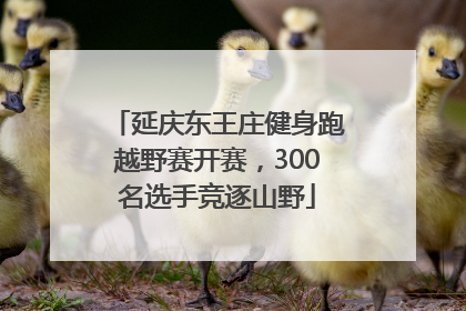 延庆东王庄健身跑越野赛开赛，300名选手竞逐山野
