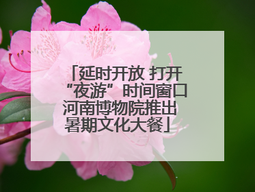 延时开放 打开“夜游”时间窗口 河南博物院推出暑期文化大餐