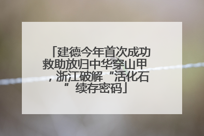 建德今年首次成功救助放归中华穿山甲，浙江破解“活化石”续存密码