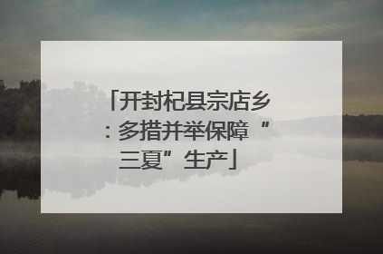 开封杞县宗店乡：多措并举保障“三夏”生产