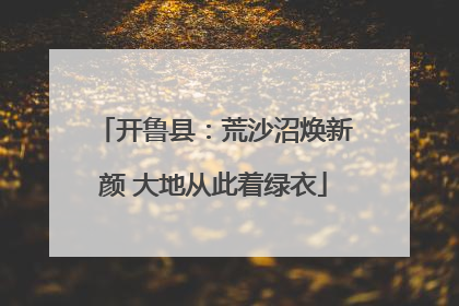 开鲁县：荒沙沼焕新颜 大地从此着绿衣