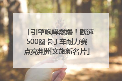 引擎咆哮燃爆！欧速500圈卡丁车耐力赛点亮荆州文旅新名片