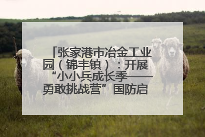 张家港市冶金工业园（锦丰镇）：开展“小小兵成长季——勇敢挑战营”国防启蒙教育活动