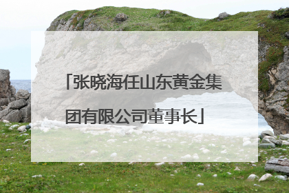张晓海任山东黄金集团有限公司董事长