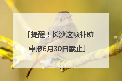 提醒！长沙这项补助申报6月30日截止