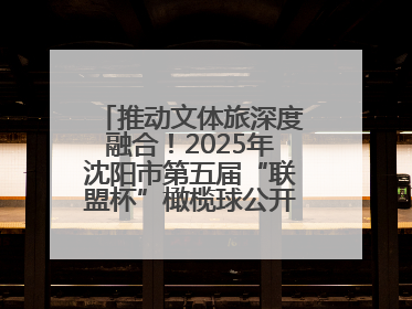 推动文体旅深度融合！2025年沈阳市第五届“联盟杯”橄榄球公开赛燃情开赛