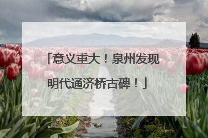 意义重大！泉州发现明代通济桥古碑！