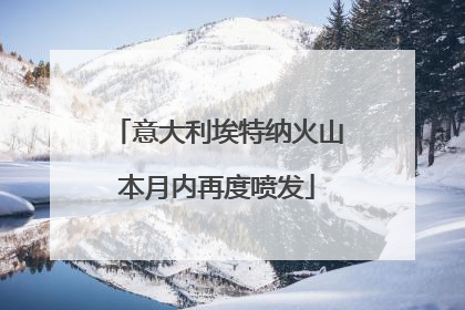 意大利埃特纳火山本月内再度喷发