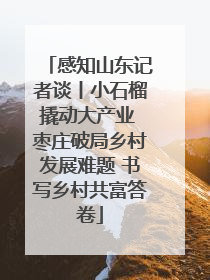 感知山东记者谈丨小石榴撬动大产业 枣庄破局乡村发展难题 书写乡村共富答卷