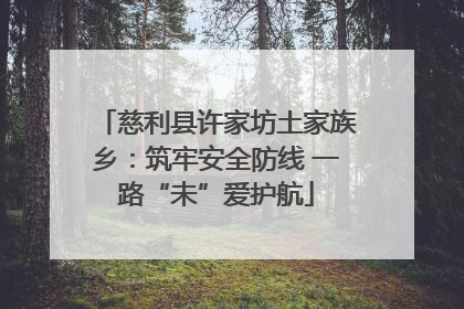 慈利县许家坊土家族乡：筑牢安全防线 一路“未”爱护航