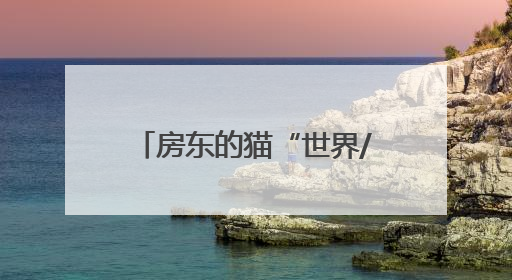 房东的猫“世界/青年”演唱会济南站来了！济南公交开通6条歌迷定制专线