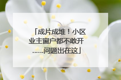 成片成堆！小区业主窗户都不敢开……问题出在这