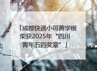 成都快递小哥黄学根荣获2025年“四川青年五四奖章”