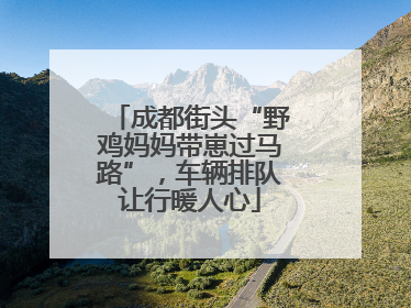 成都街头“野鸡妈妈带崽过马路”，车辆排队让行暖人心