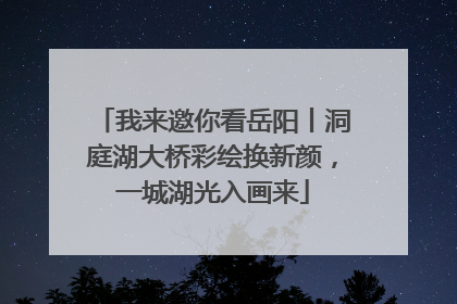 我来邀你看岳阳丨洞庭湖大桥彩绘换新颜，一城湖光入画来