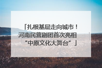扎根基层走向城市！河南民营剧团首次亮相“中原文化大舞台”