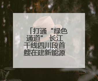 打通“绿色通道” 长江干线四川段首艘在建新能源船舶抵押贷款在泸州落地