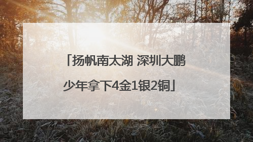 扬帆南太湖 深圳大鹏少年拿下4金1银2铜