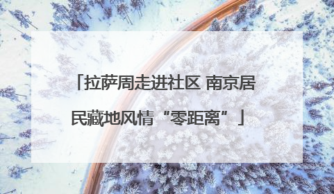 拉萨周走进社区 南京居民藏地风情“零距离”