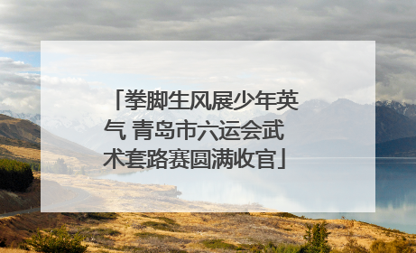 拳脚生风展少年英气 青岛市六运会武术套路赛圆满收官