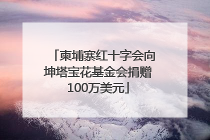 柬埔寨红十字会向坤塔宝花基金会捐赠100万美元