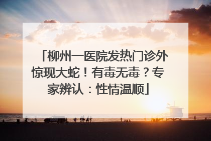 柳州一医院发热门诊外惊现大蛇！有毒无毒？专家辨认：性情温顺