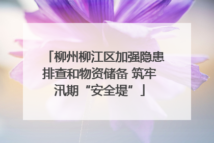柳州柳江区加强隐患排查和物资储备 筑牢汛期“安全堤”