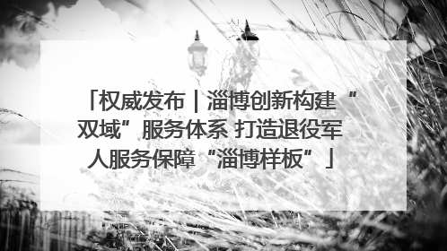 权威发布｜淄博创新构建“双域”服务体系 打造退役军人服务保障“淄博样板”