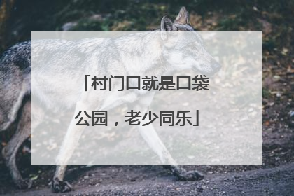 村门口就是口袋公园，老少同乐