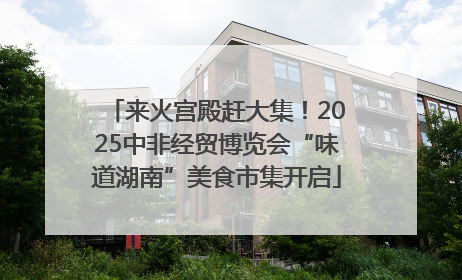 来火宫殿赶大集！2025中非经贸博览会“味道湖南”美食市集开启
