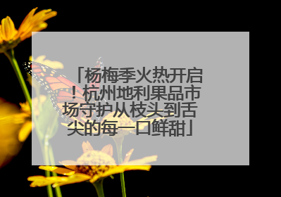 杨梅季火热开启！杭州地利果品市场守护从枝头到舌尖的每一口鲜甜