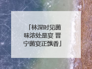 林深时见菌 味浓处是宴 晋宁菌宴正飘香
