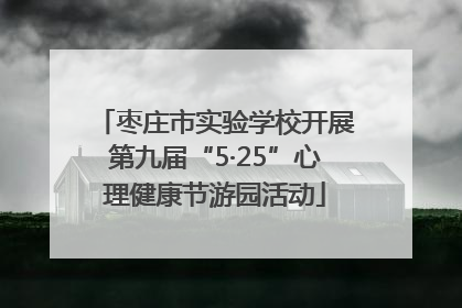 枣庄市实验学校开展第九届“5·25”心理健康节游园活动