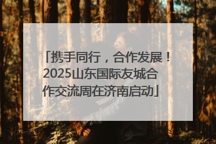 携手同行，合作发展！2025山东国际友城合作交流周在济南启动