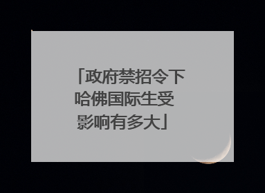 政府禁招令下 哈佛国际生受影响有多大
