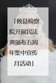 攸县检察院开展民法典颁布五周年集中宣传月活动