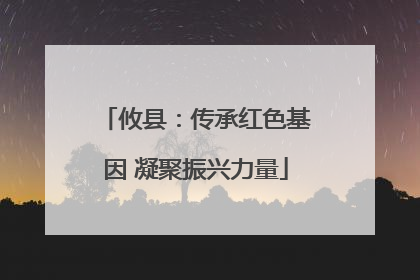 攸县：传承红色基因 凝聚振兴力量