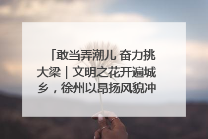 敢当弄潮儿 奋力挑大梁｜文明之花开遍城乡，徐州以昂扬风貌冲刺“万亿之城”