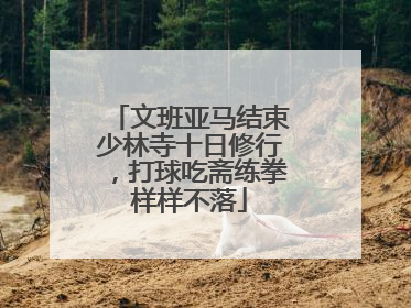 文班亚马结束少林寺十日修行，打球吃斋练拳样样不落