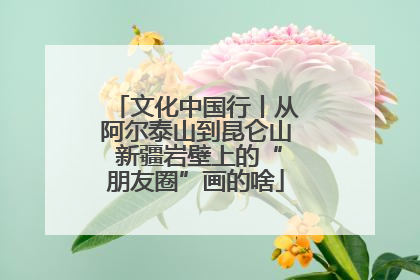 文化中国行丨从阿尔泰山到昆仑山 新疆岩壁上的“朋友圈”画的啥