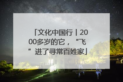 文化中国行丨2000多岁的它，“飞”进了寻常百姓家
